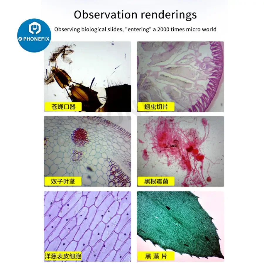 2000X Biological Monocular Microscope For Student Lab Educational Toy - Image 4