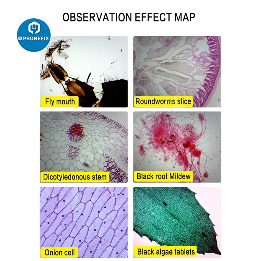 2000x Zoom Biological HD Microscope For Student Laboratory Education - Image 6