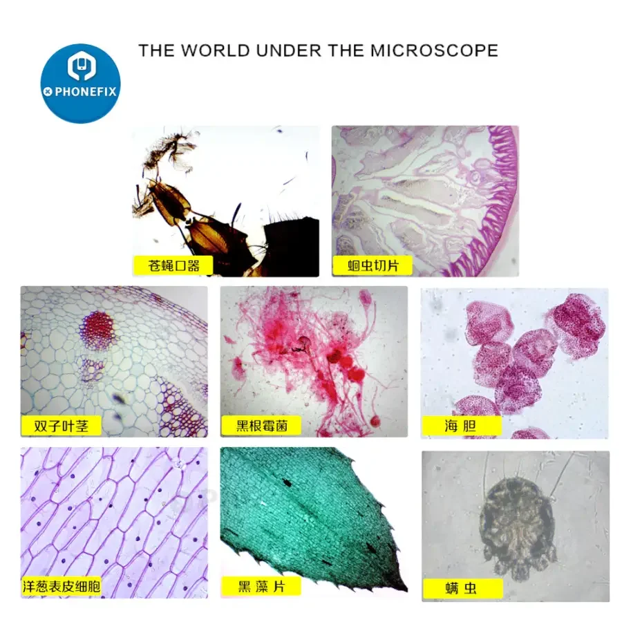 40X-640X Monocular Biological Microscope for Kids Beginner Student - Image 10